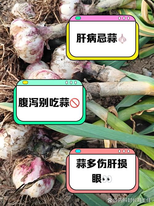 天天吃蒜對身體有什么壞處，天天釣魚